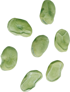 Kidney beans PNG-56920